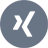 Xing Icon